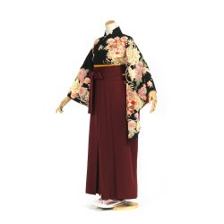 kf-110 黒地に菊と桜