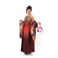 kf-51 紫地古典柄