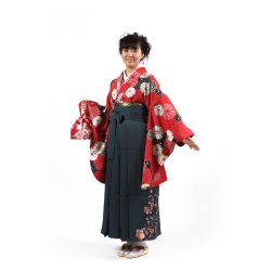 kf-89 赤地に万葉菊