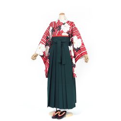 kf-182 赤縞に牡丹