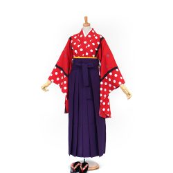 kf-209 赤地に水玉