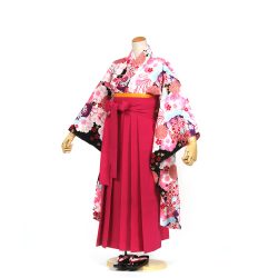 kfs-12 黒地にカラフル桜