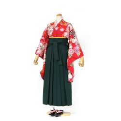 kfs-35 赤地花散らし