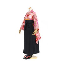 kfs-4 赤に紫牡丹