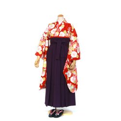 kfs-70 赤地に桜,藤,菊