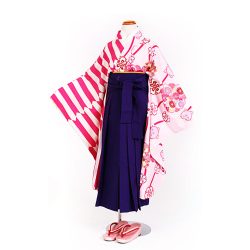 7-31 小紋・袴セット