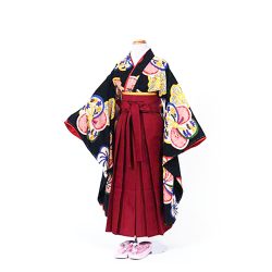 7-38 小紋・袴セット