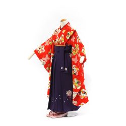 7-9 小紋・袴セット