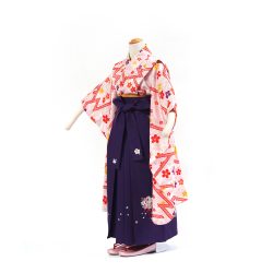 7K-13 小紋・袴セット