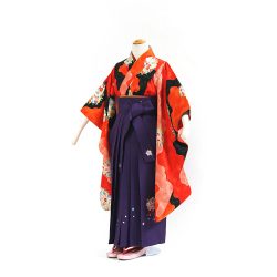 J7H-7 小紋・袴セット