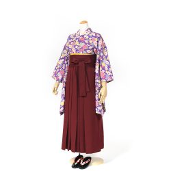 kfss-23 青紫小花