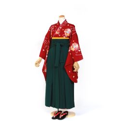 kfss-13 赤紫花紐