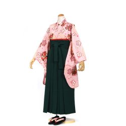 kfss-2 ピンク桜