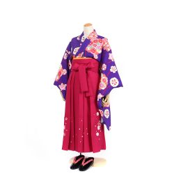 kfsss-2　紫菊花